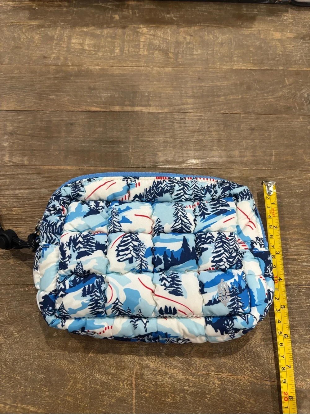 FREE PEOPLE MOVEMENT Quilted Blue Winter-Print Cosmetic Pouch with Wrist Strap